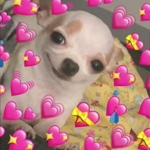 Meet your Posher, Raquel